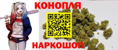 гашик Краснодар