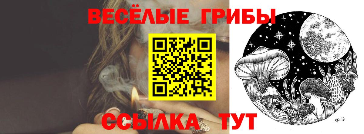 Псилоцибиновые грибы Psilocybe  Галлюциногенные грибы GOLDEN TEACHER  Вход с VPN  даркнет сайт  Волхов 